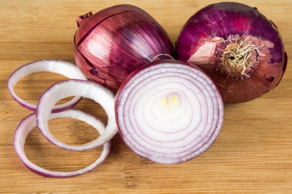 Официальные зеркала крамп onion