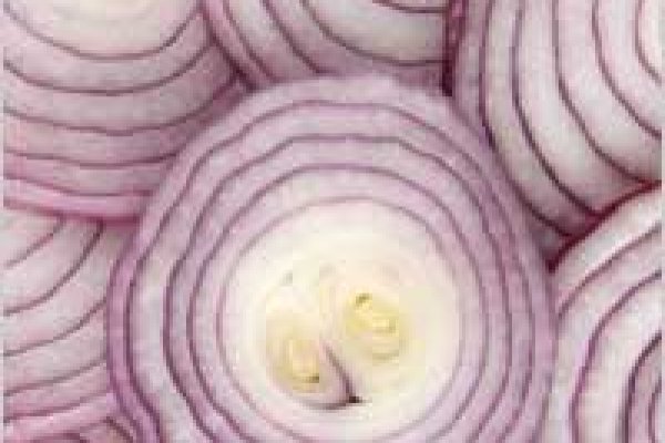 Krakenruzxpnew4af onion com tor
